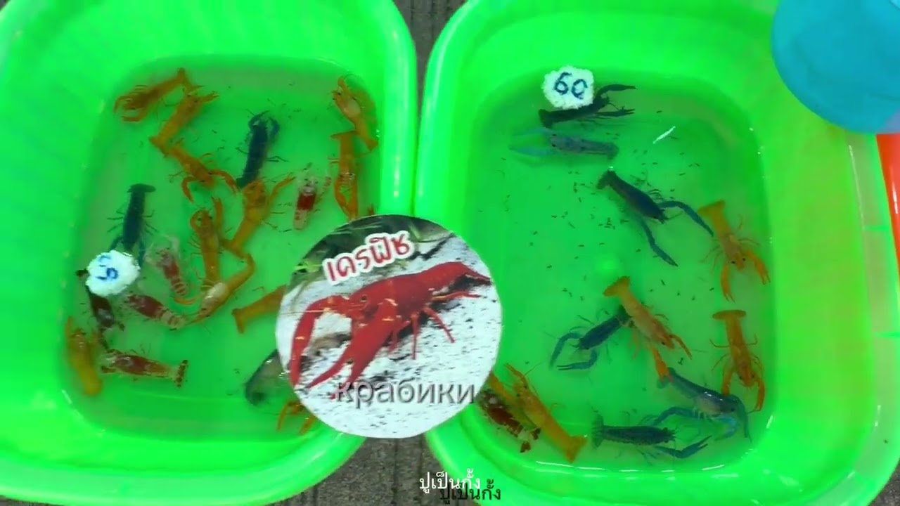 10 марта 2026 г.