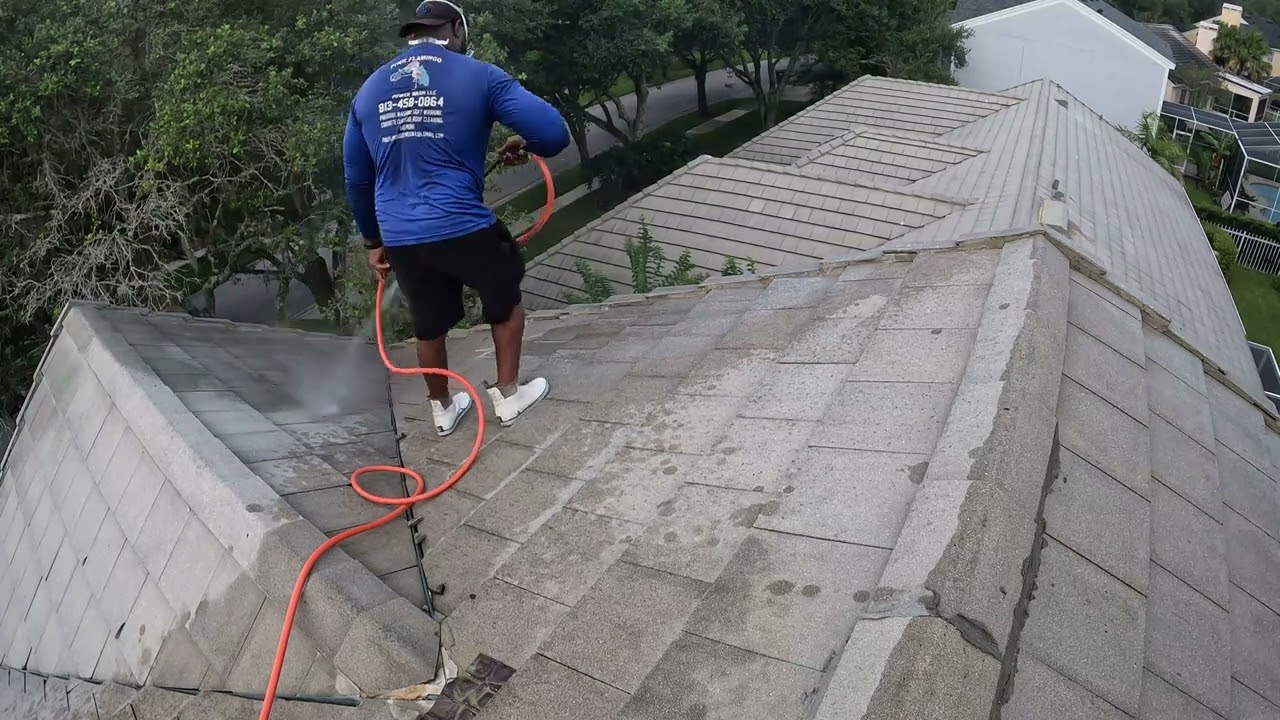 Steep Concrete Tile Roof Cleaning & House Washing #softwash