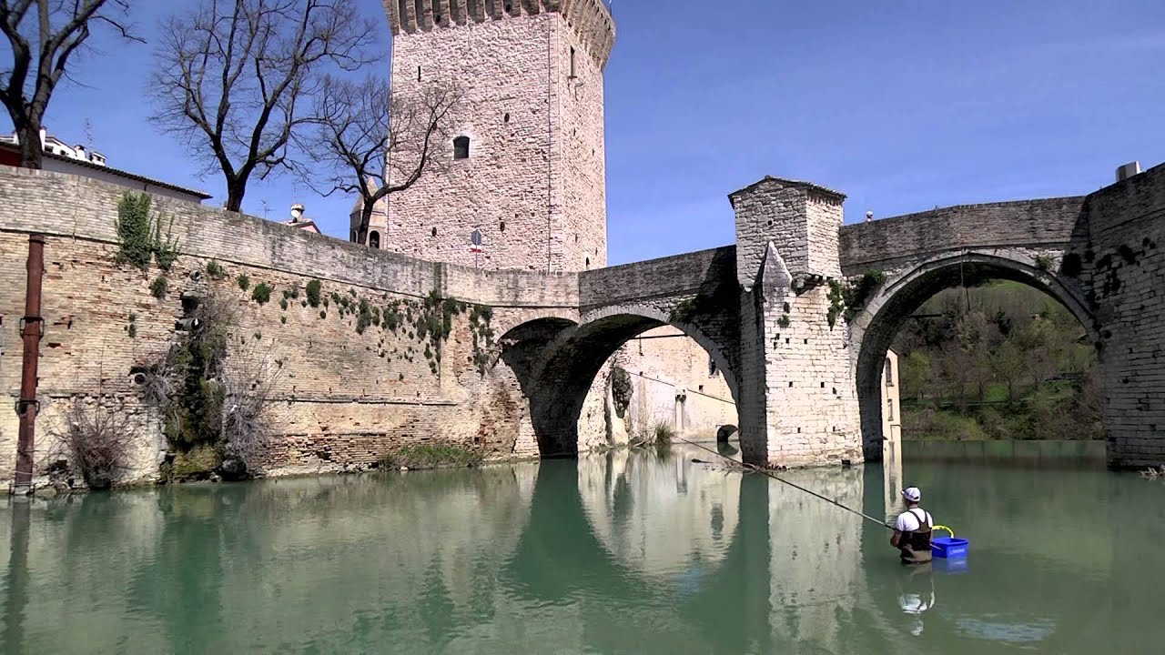 Italian Fishing TV - Colmic - I barbi del Metauro