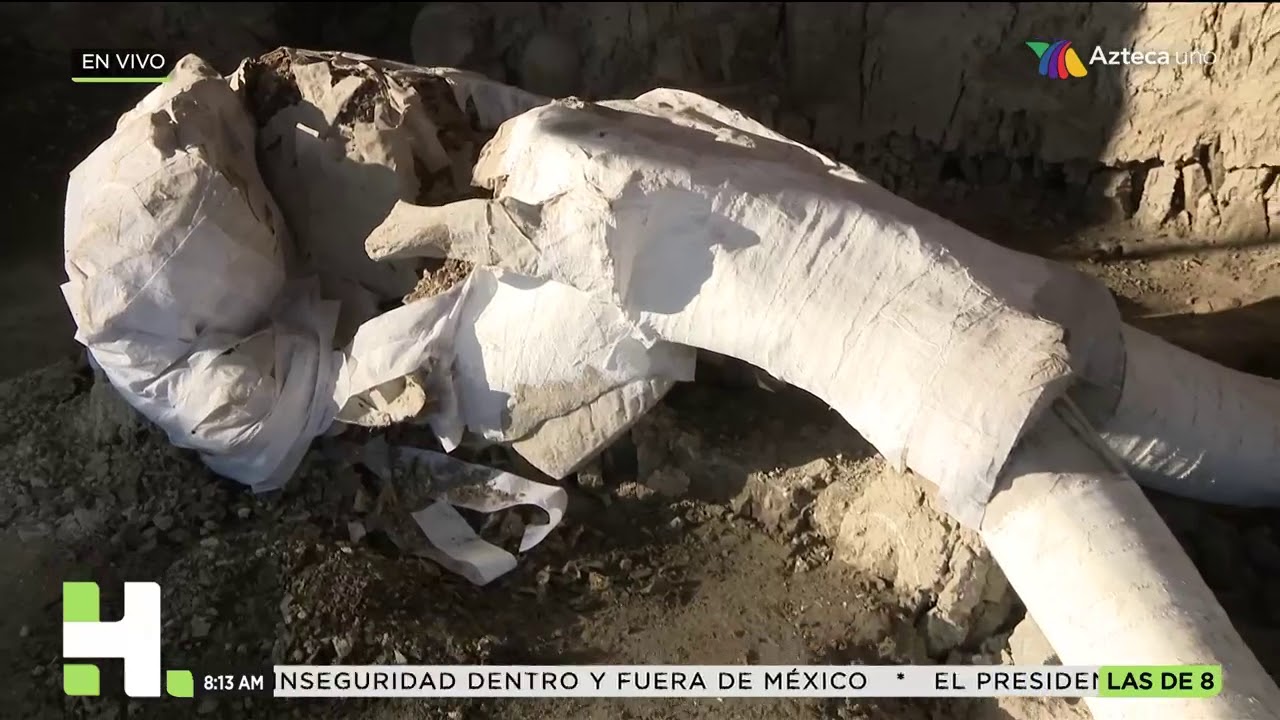Hallan trampa de mamuts con 15 mil años de antigüedad