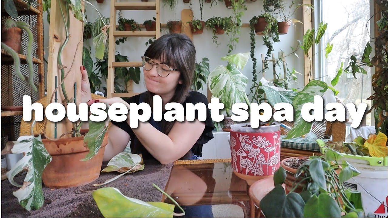 giving my plants a spa day | PLANT CHORES