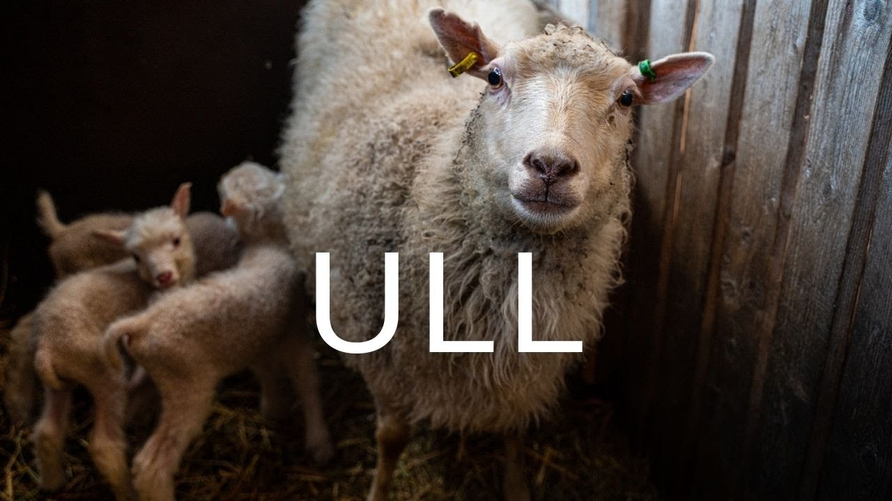 ULL- Från material till produkt