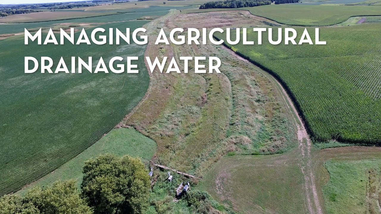 A Holistic Approach to Managing Agricultural Drainage Water