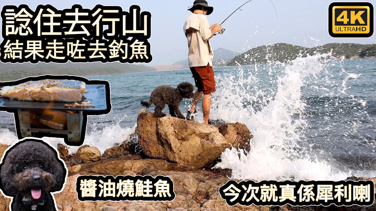諗住去行山｜結果去咗去釣魚 | 今次犀利｜ 醬油燒鮭魚4K
