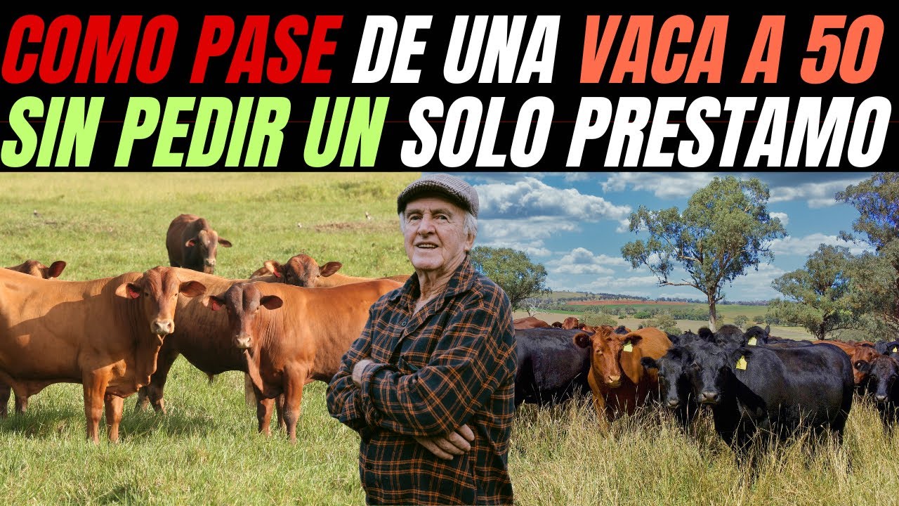 Cómo Pasé de una Vaca a 50 Sin Pedir un Solo Préstamo  Mi Método Paso a Paso