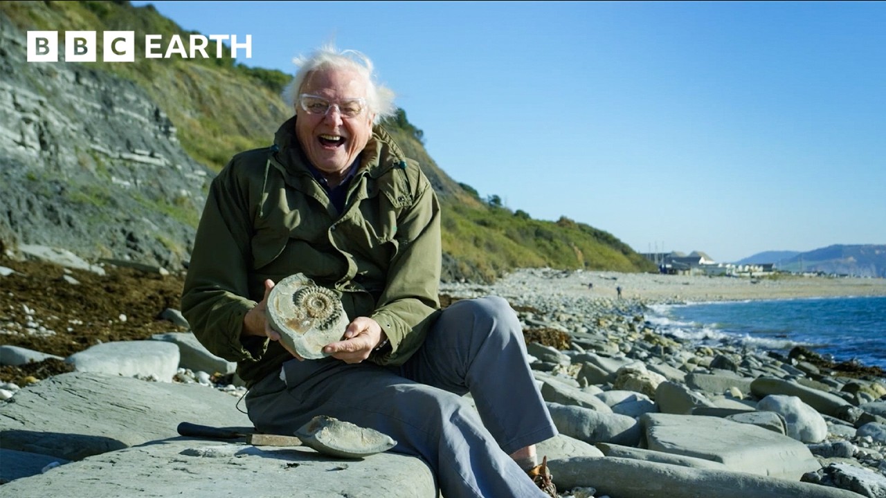 Our Favourite Sir David Attenborough Moments | BBC Earth Science