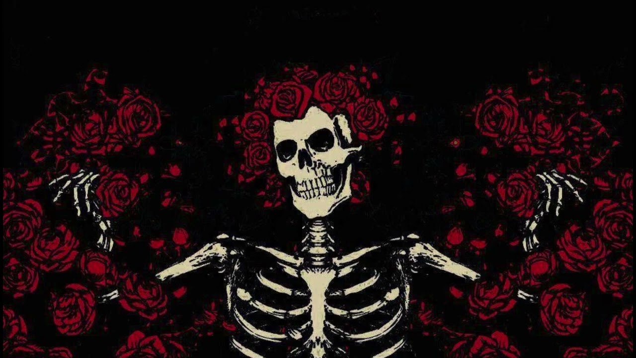Sia - Skeleton (New 2026 Unreleased Song)