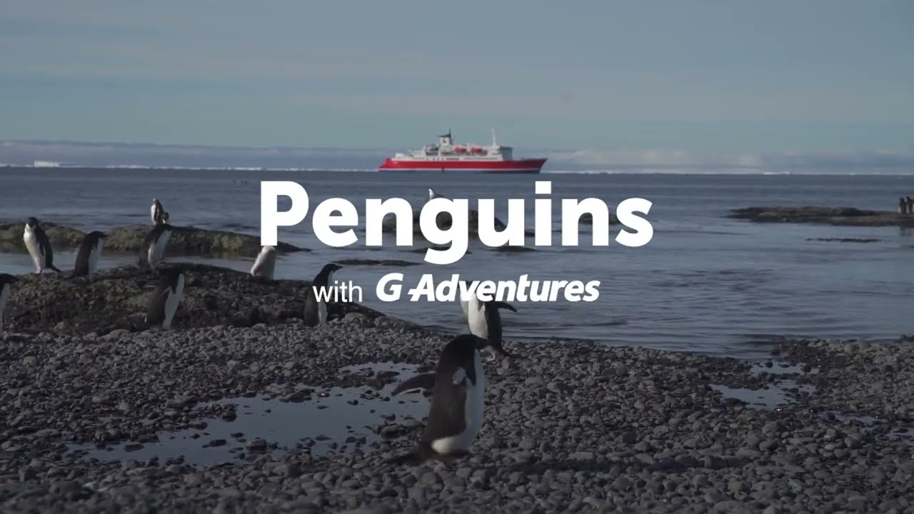 L'Antartique avec G Adventures