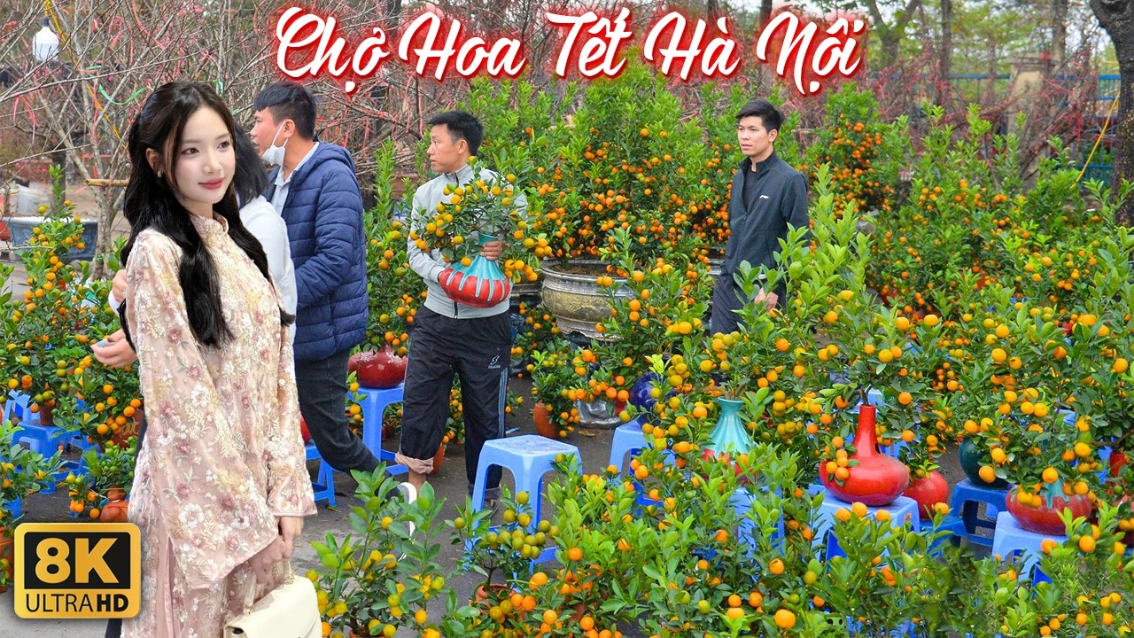 Đào Quất Khủng Giá Cả Chục Triệu Xếp Kín Chợ Hoa Hà Nội Đợi Khách Đi Sắm Tết | Chợ Hoa Tết Long Biên