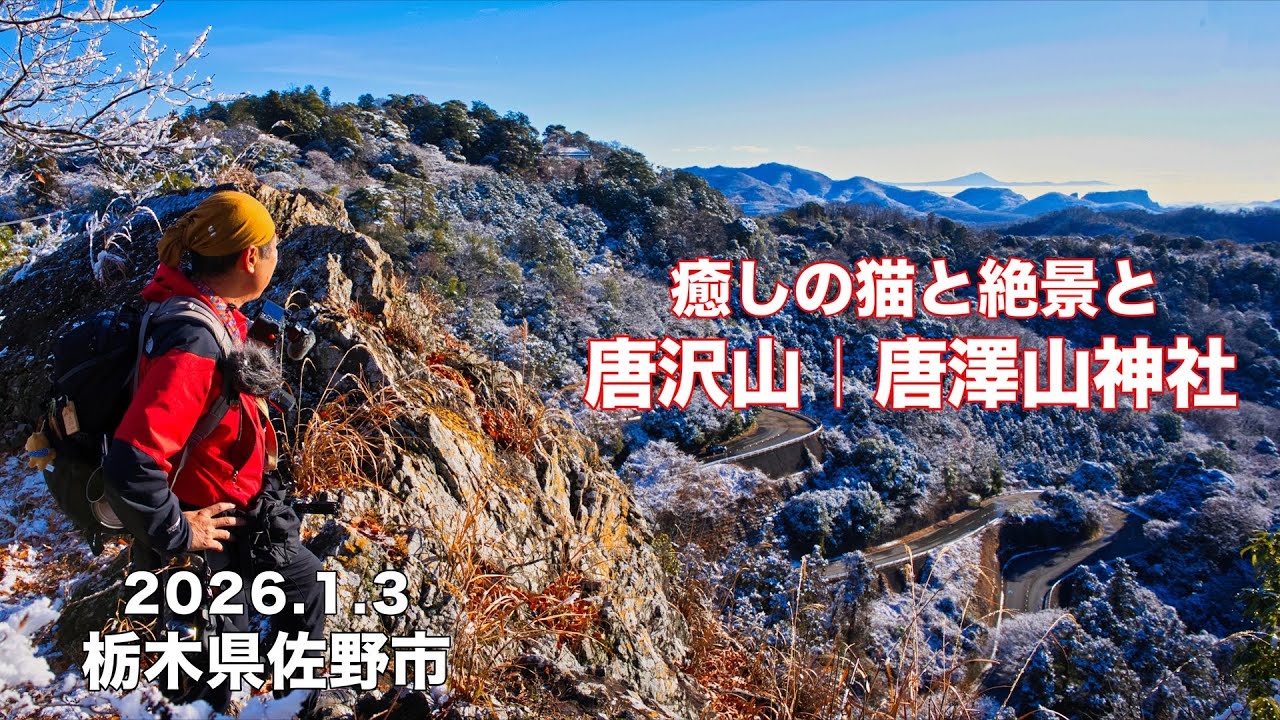 【絶景低山！2026】4K 猫にも会える 唐沢山|唐澤山神社 権現堂〜浅間山　栃木県佐野市
