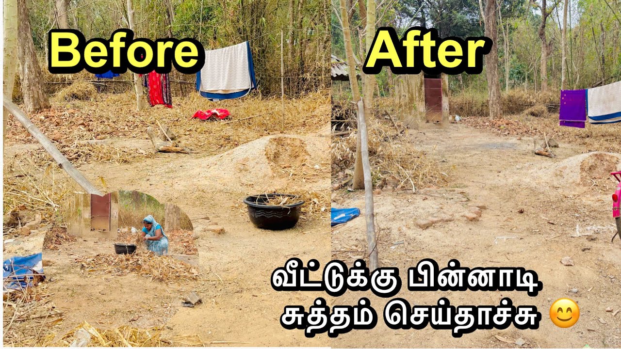 வீட்டுக்குப்பின்னாடி 😊இருந்த விறகு சில்லு , இலை எல்லாமே சுத்தம் பண்ணியாச்சு.