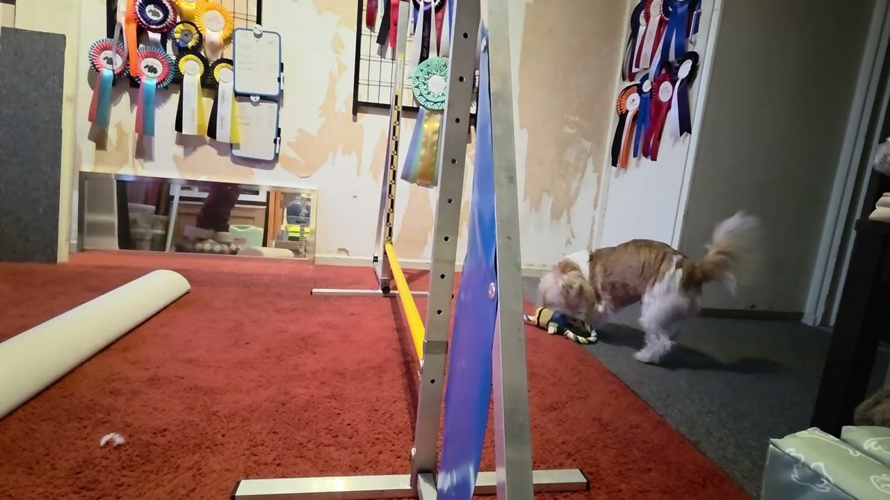 Setting the take off point in extension 2