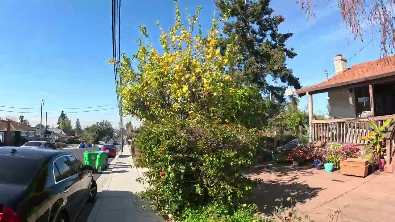 🇺🇸American Neighborhood Walk. California!