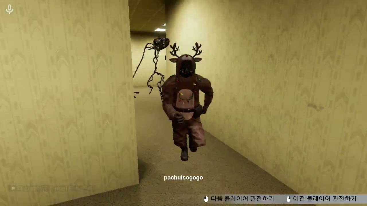 샤갈 백룸