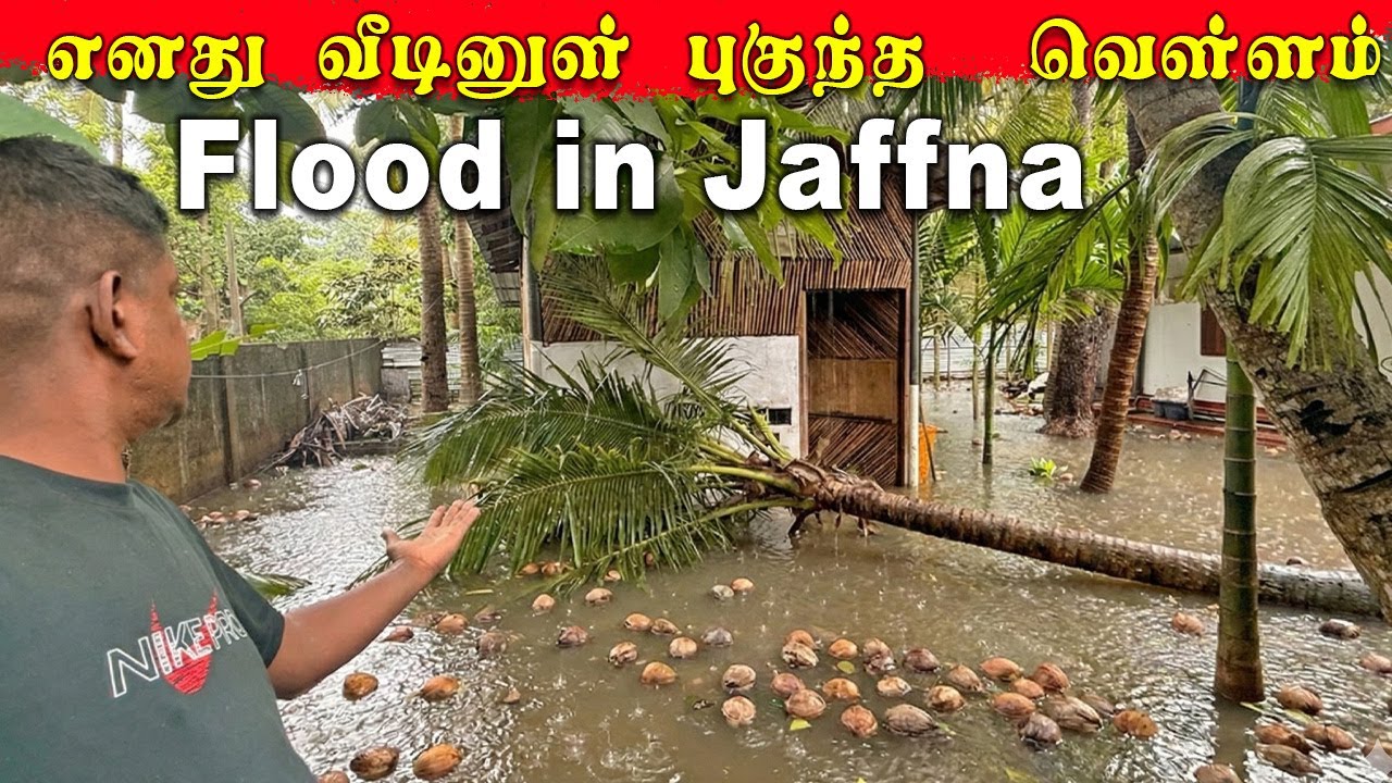 குடிக்க தண்ணீர் இல்லை! புயல் வெள்ளத்தால்  நிரம்பி வழியும்  யாழ்   Flood in Jaffna |Jaffna  youtubers