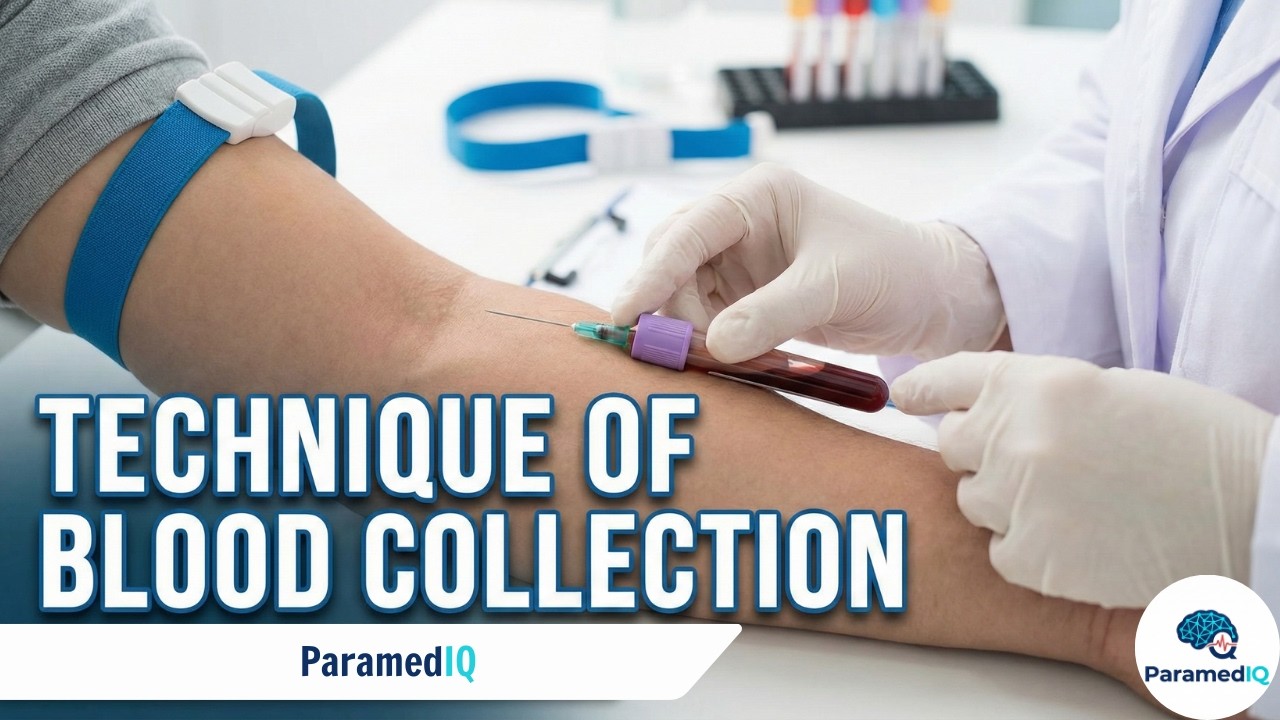 Technique of Blood Collection Explained | ParamedIQ