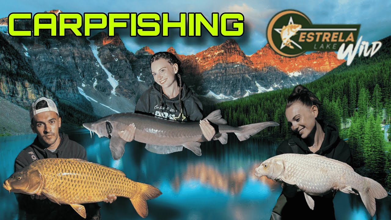 ESTRELA LAKE WILD | CARPA ESTURION KOI | CARPFISHING | 2025