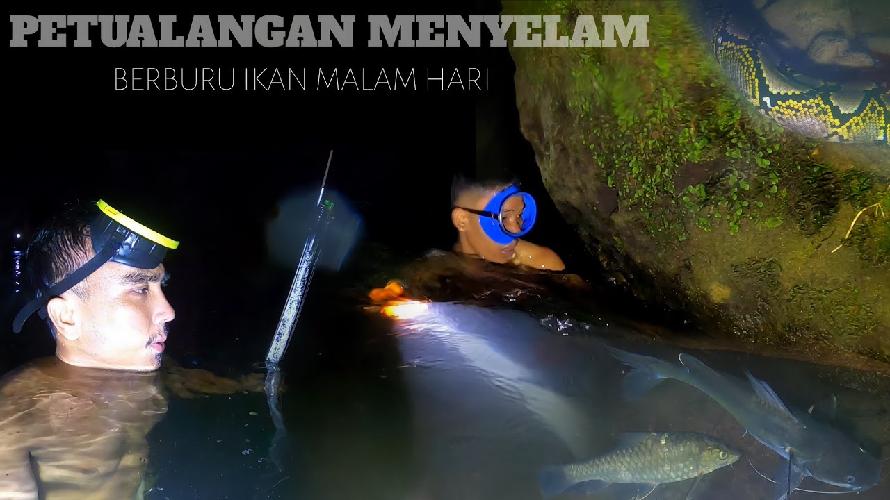 Tantangan menembak ikan malam hari bertemu Predator 