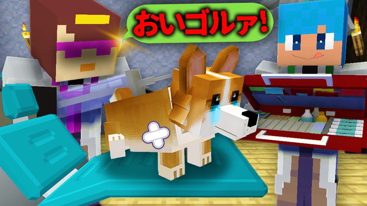 あかさかとおかん、ついにお医者さんになる。【まいくら / マインクラフト】