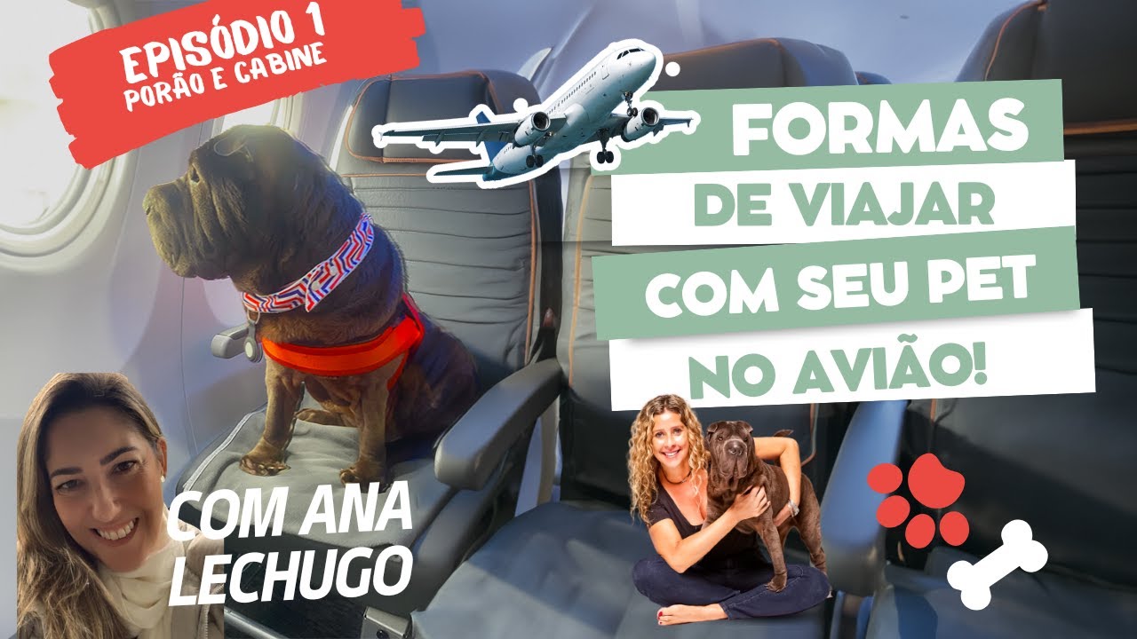 Como viajar com cachorro de avião