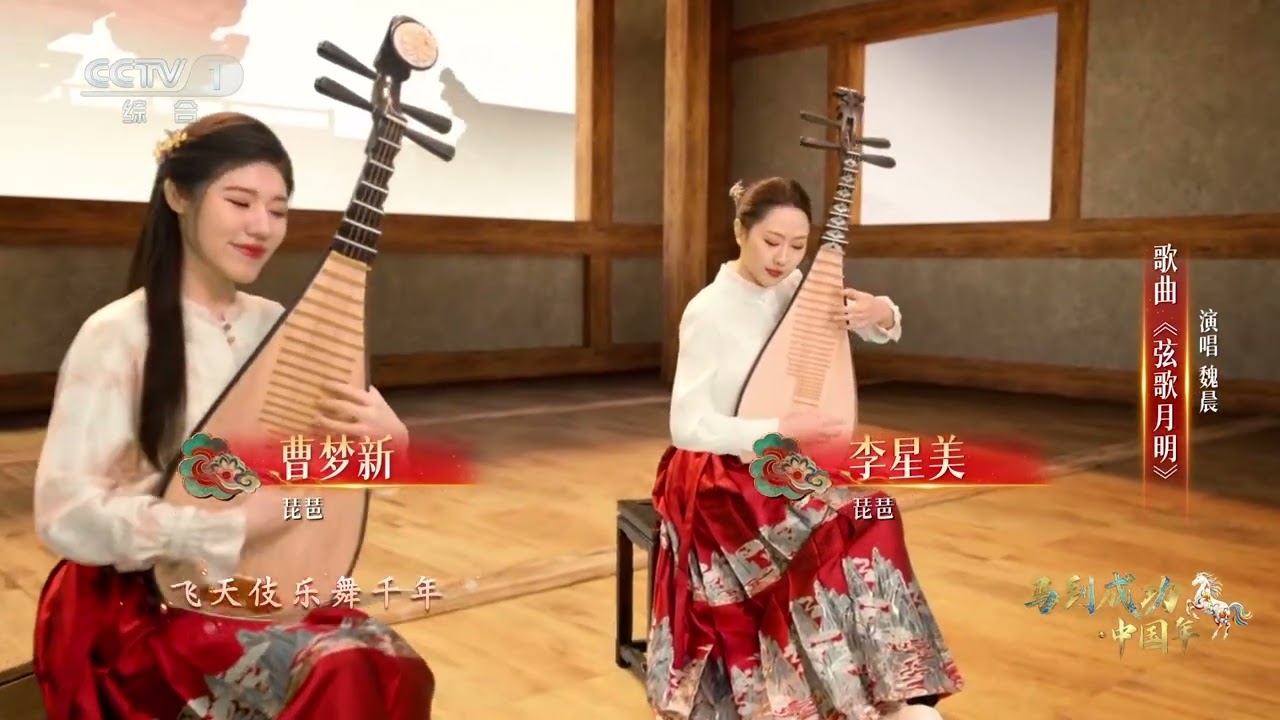 [马到成功·中国年]《弦歌月明》 演唱：魏晨 | CCTV