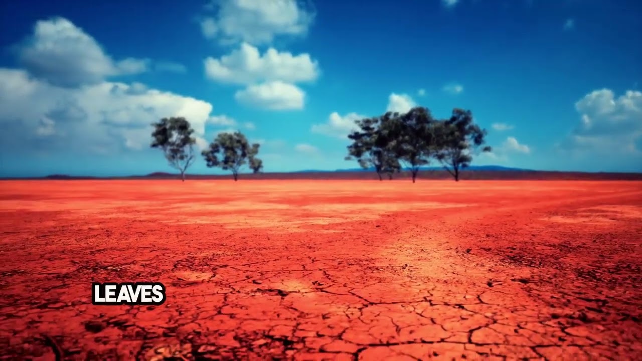 Vapor Pressure Deficit