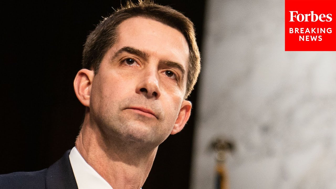 Tom Cotton Questions Witnesses About Equality Act