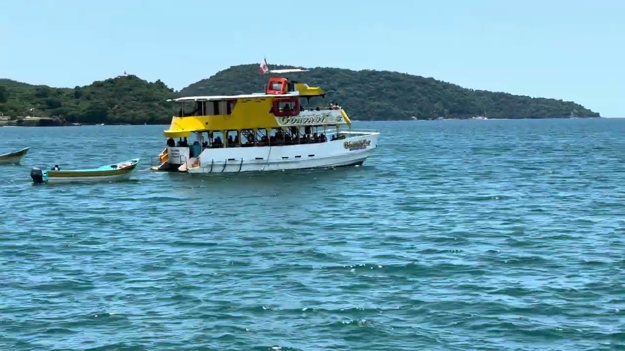 Isla coral guayavitos