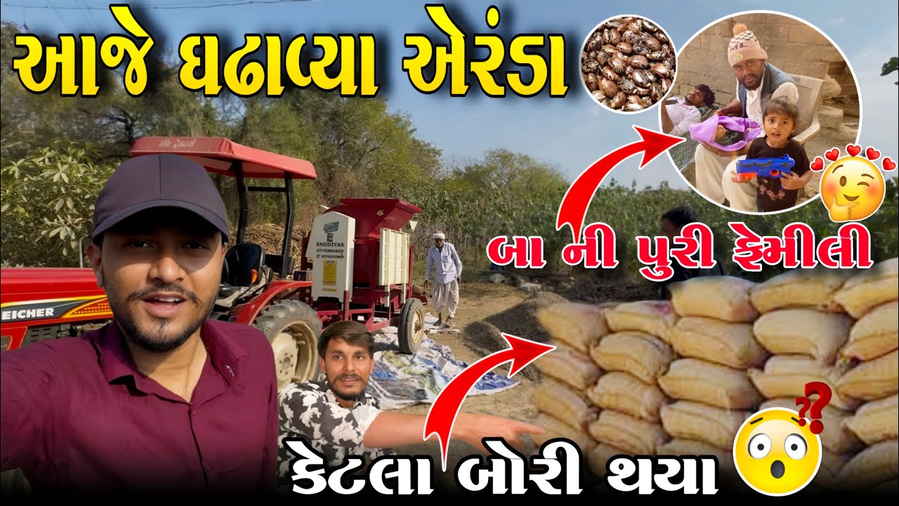 આજે ઘઢાવ્યા એરંડા😳//Gujarati Vlog Video//Raja Bahuchar