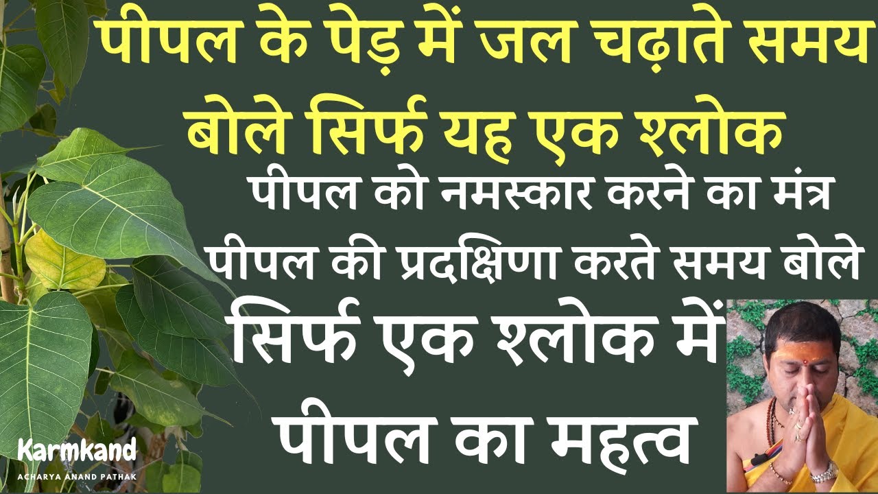 पीपल का महत्व सिर्फ़ एक ही श्लोक में समझे । पीपल को जल चढ़ाते समय बोले यह श्लोक ।Pipal mantra ।