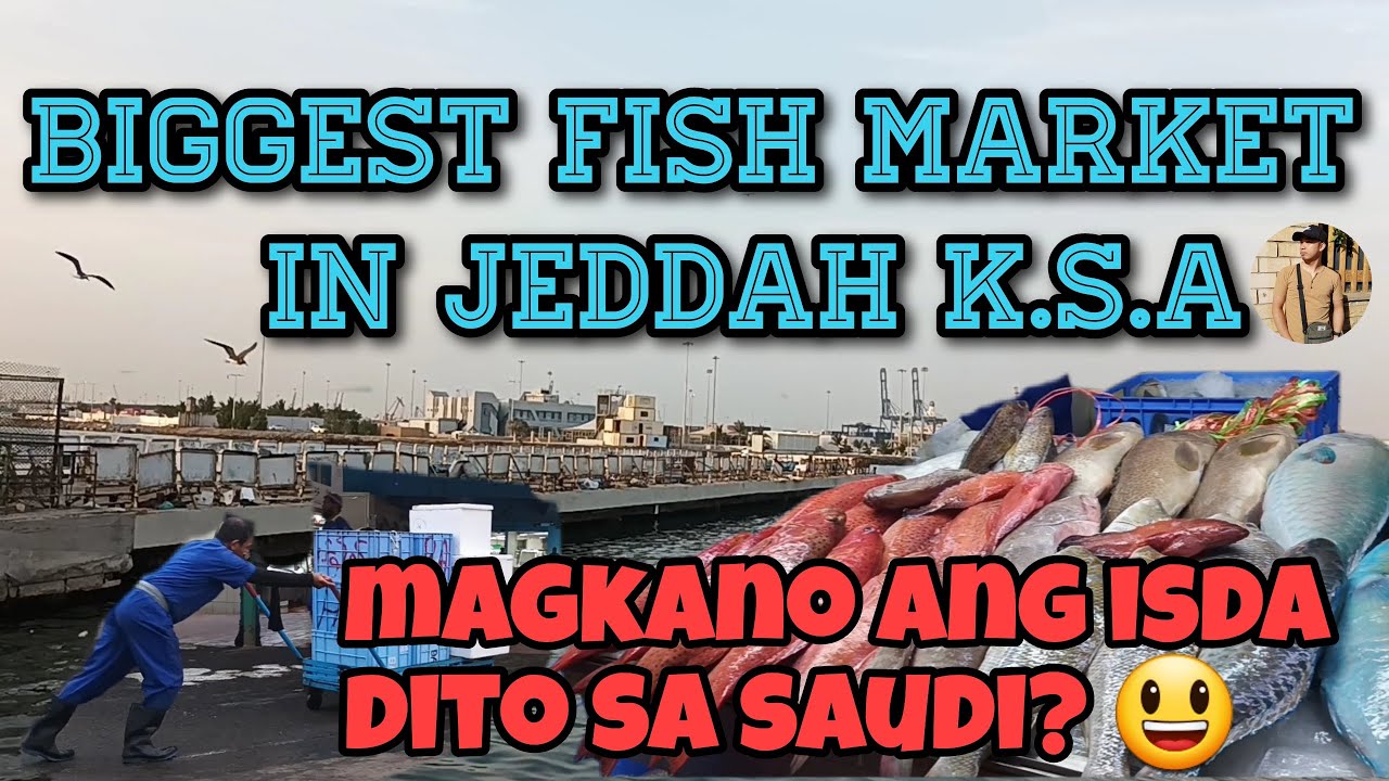 Fish market Jeddah Saudi Arabia /  A place Where you can buy fresh sea food in cheap price in Jeddah