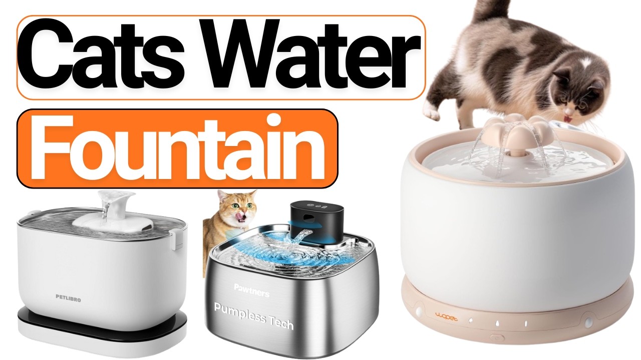 ✅Top 5 Best Cats Water Fountain in 2026