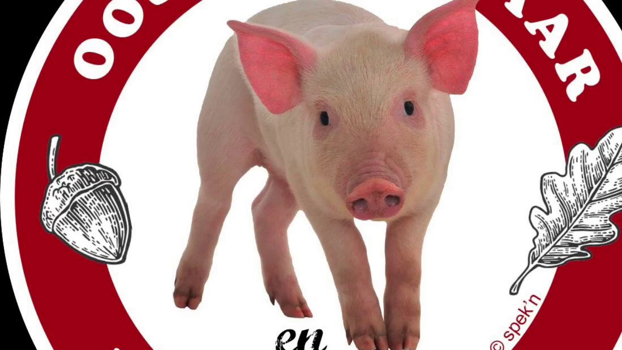OOSTEEKLO 2018