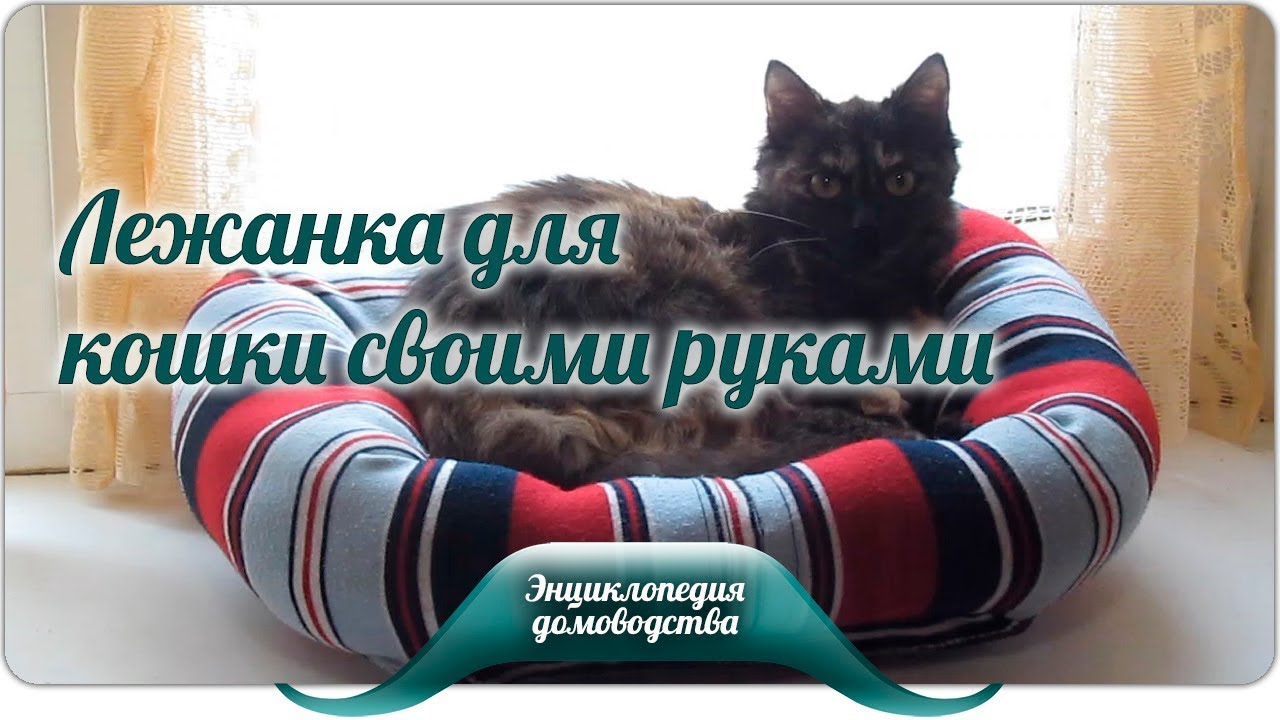 Уютная лежанка для кошки из старого свитера