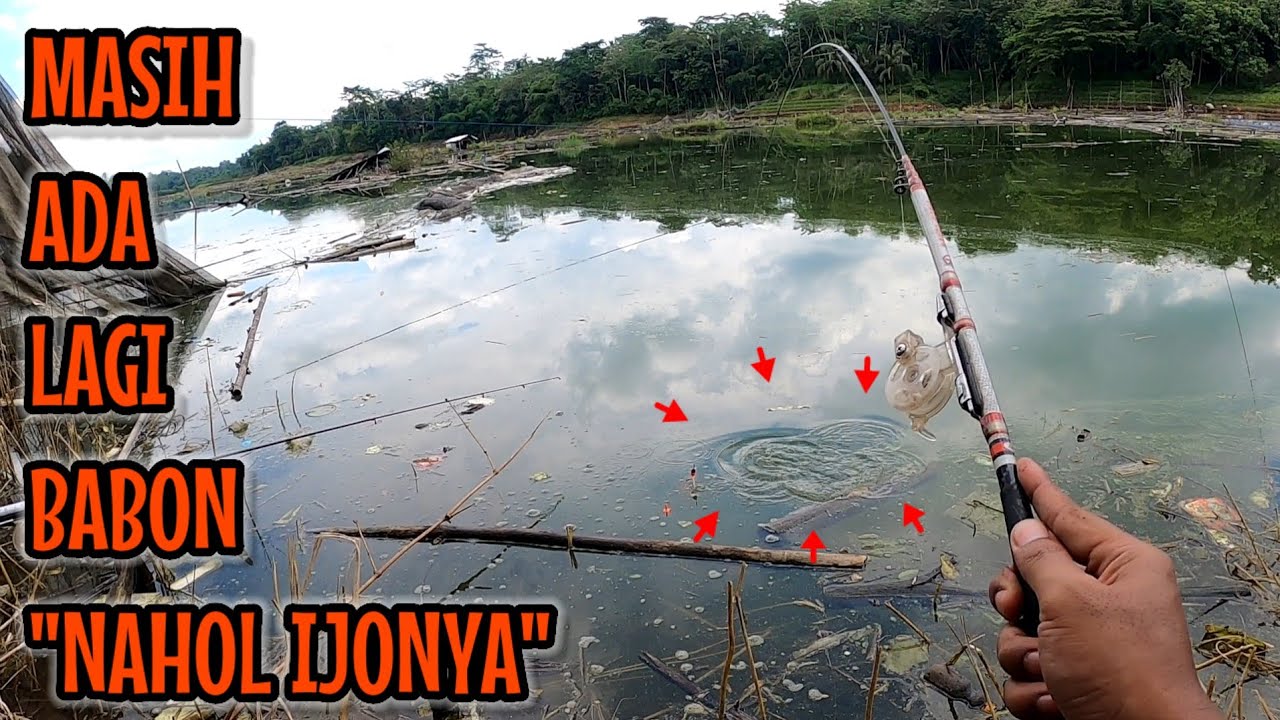 EMANG TIAP KE SPOT INI SELALU ADA JACKPOTNYA || mancing ikan red devil NAHOL MANIA