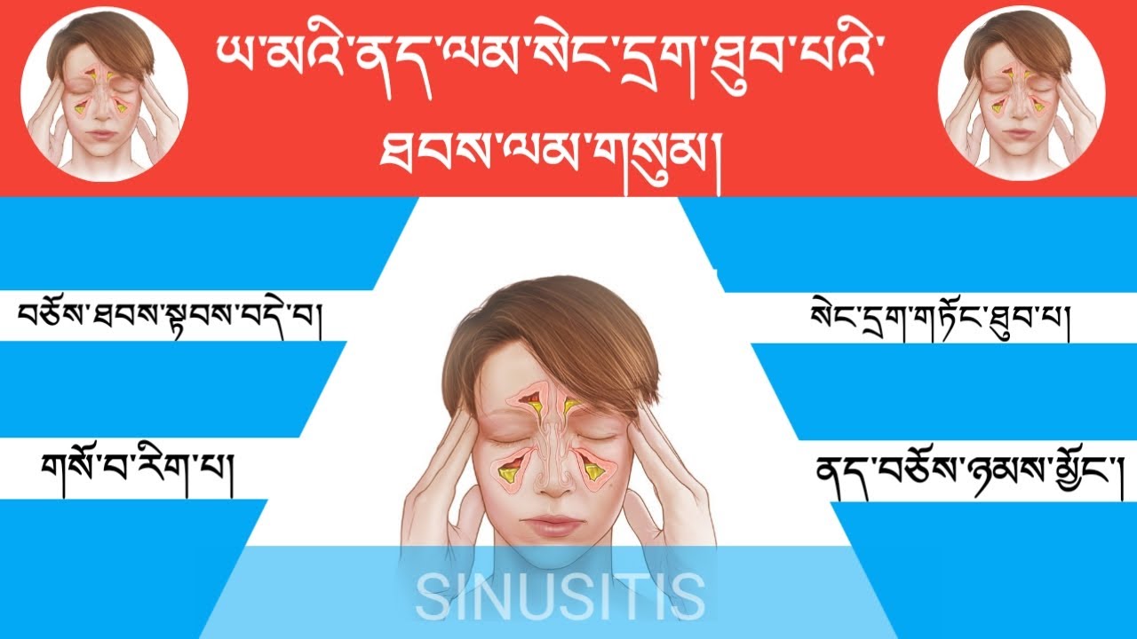ཡ་མའི་ནད་ལམ་སེང་དྲག་བསྐྱེད་ཐུབ་པའི་ཐབས་ལམ་གསུམ།||བཅོས་ཐབས་སྟབས་བདེ་བ།||སེང་དྲག་གཏོང་ཐུབ།