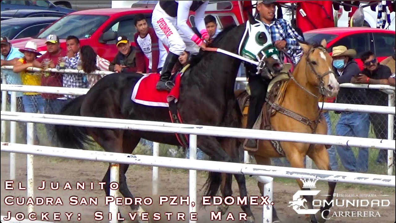 Campeon d Campeones. Juanito/Africano Vs Padrino Vs Perlita Vs Reacher 16 Vs Maybellina Vs J Calata.