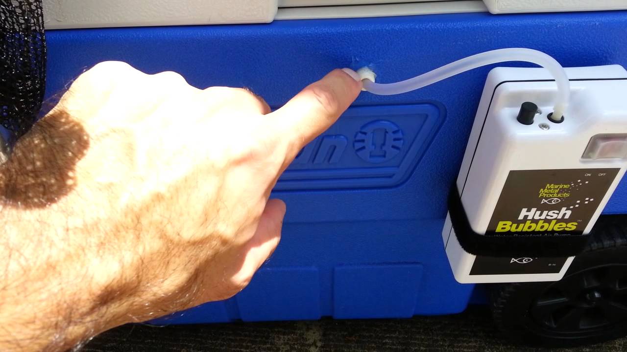 CUSTOM COOLER LIVE WELL