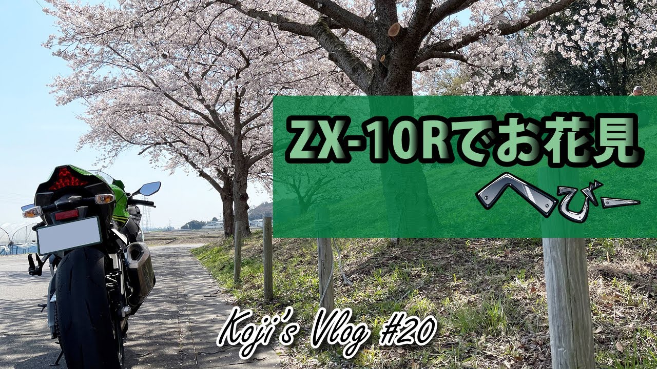 【バイクで一人花見】メタルギタリストがZX-10Rに乗ってプチツーリング Vlog#20【春到来の桜道】