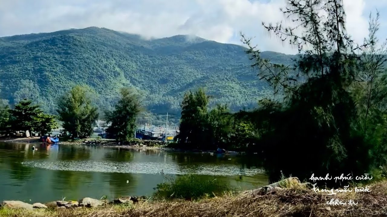 #15: Bước vui quanh Bán đảo Sơn Trà | Những ngày lòng thênh thang