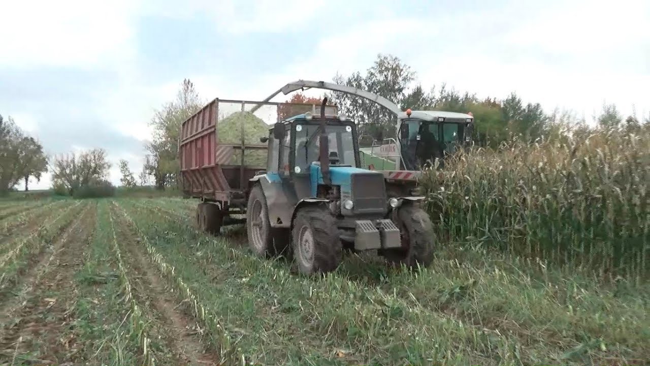Уборка силоса 2017.Начало положено.