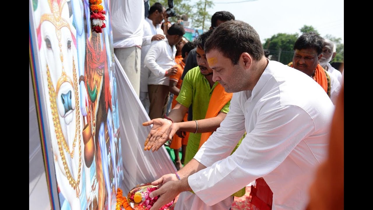 Congress President  Rahul Gandhi offers prayers to Lord Shiva in Amethi