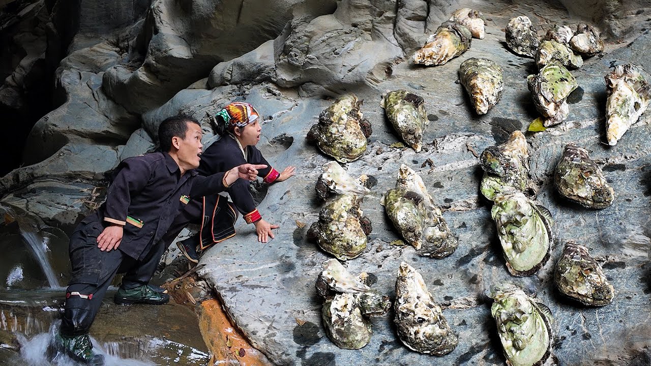 Dwarf Family Catches Oysters on the Cliff - Grilling Oysters on a Giant Charcoal Stove