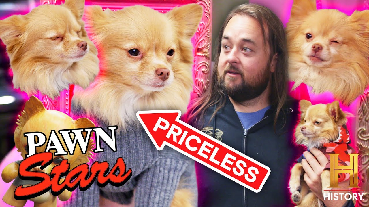 Chum and His Sidekick Pinky! | Compilation | Pawn Stars