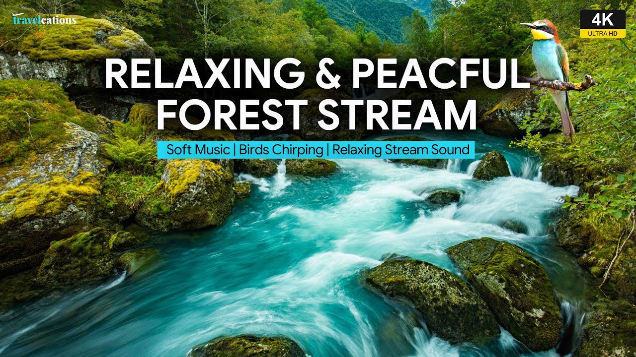 4K Relaxing River Sound - Forest Stream & Birdsong for Meditation | ASMR | Ultra HD Nature Video