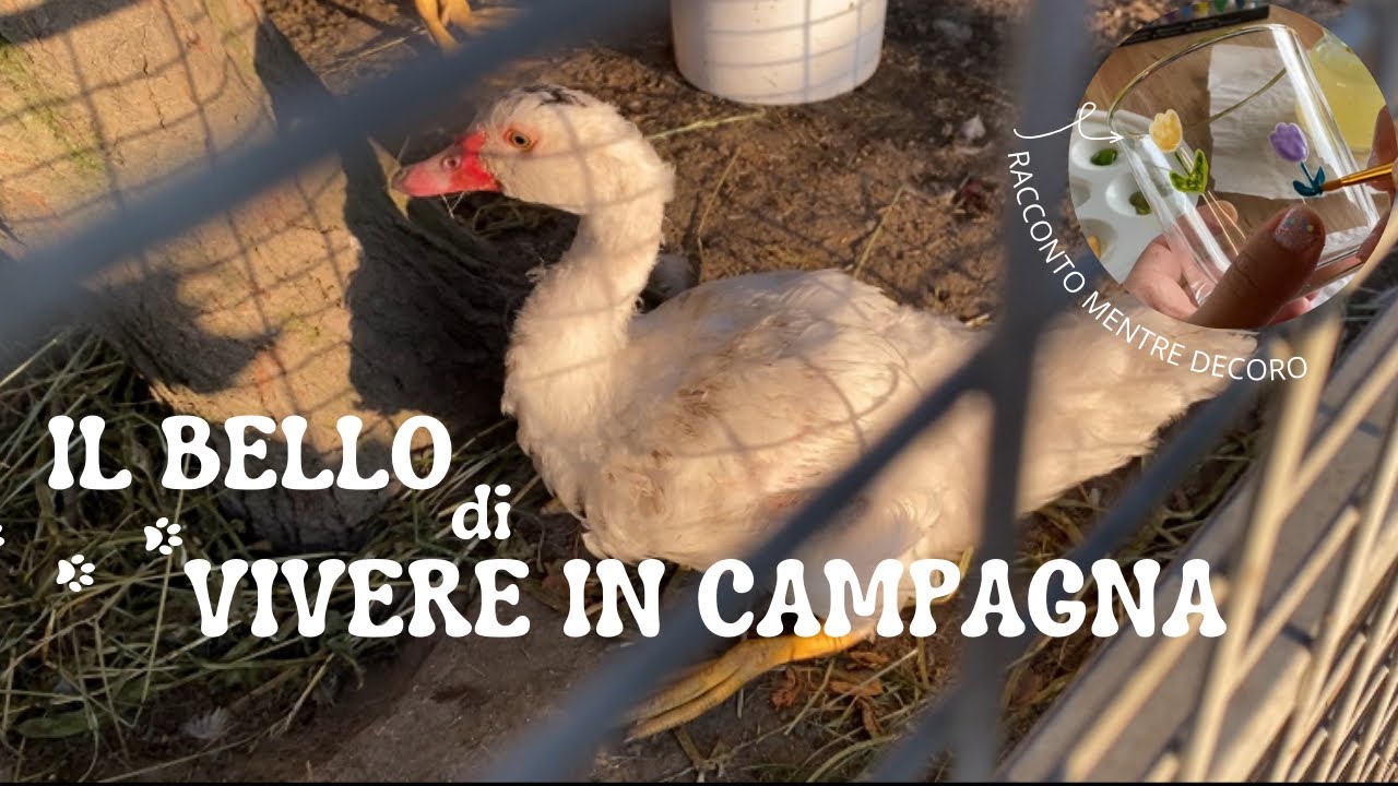 IL BELLO DI VIVERE IN CAMPAGNA 🦆🌟 DIPINGO 🌸👩🏻‍🎨 Relaxing video
