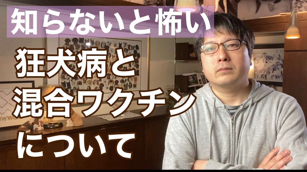 【必須知識！】犬の狂犬病、混合ワクチンをペットショップ店長が解説