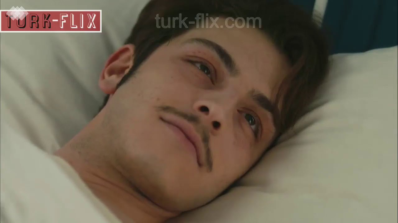 Wounded Love: You Are The Reason (HiLeon)