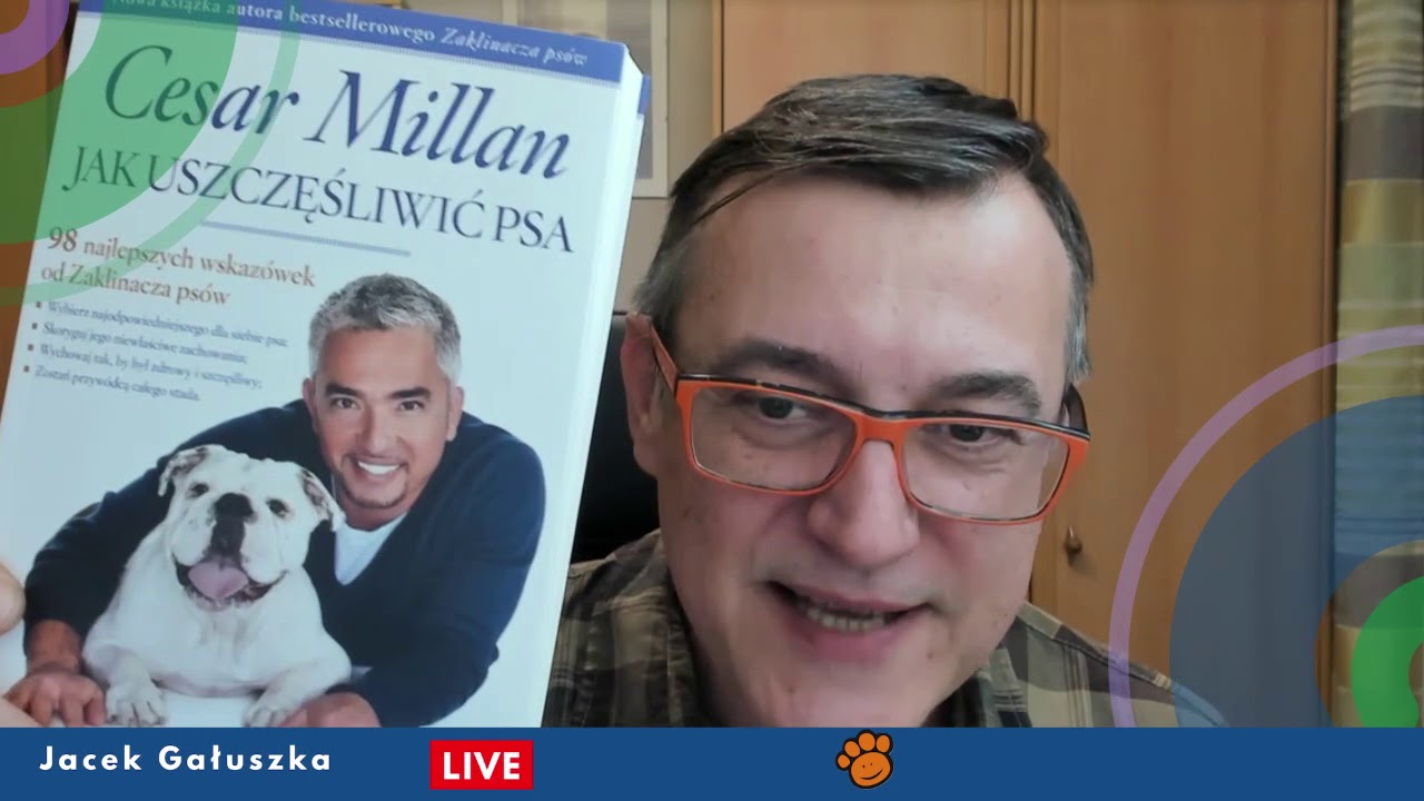 Czy istnieje pies doskonały? Odpowiadamy na to pytanie!