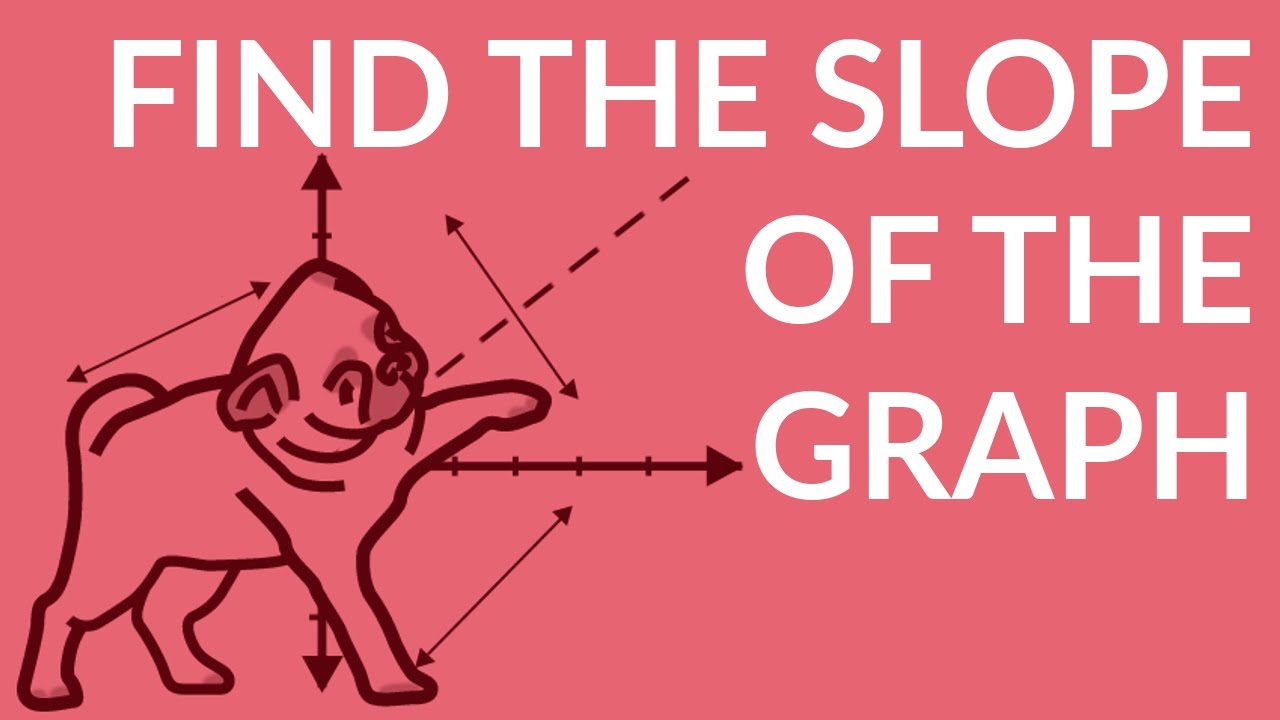 ʕ•ᴥ•ʔ Given a Graph, Find the Slope of each Line w/ 4 examples